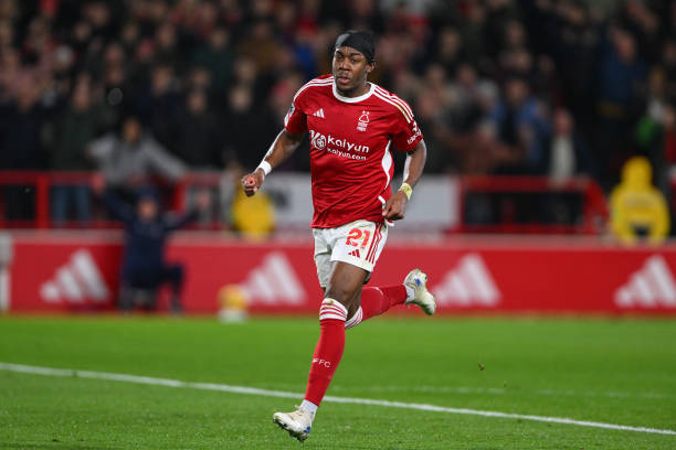 国网球的崛 国网球的崛